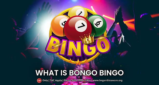 What is Bongo’s Bingo?