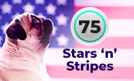75 Star 'n' Stripes